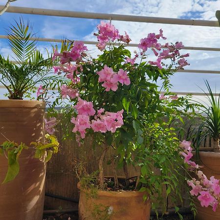 Las Terrazas Mogador Essaouira Ngoại thất bức ảnh
