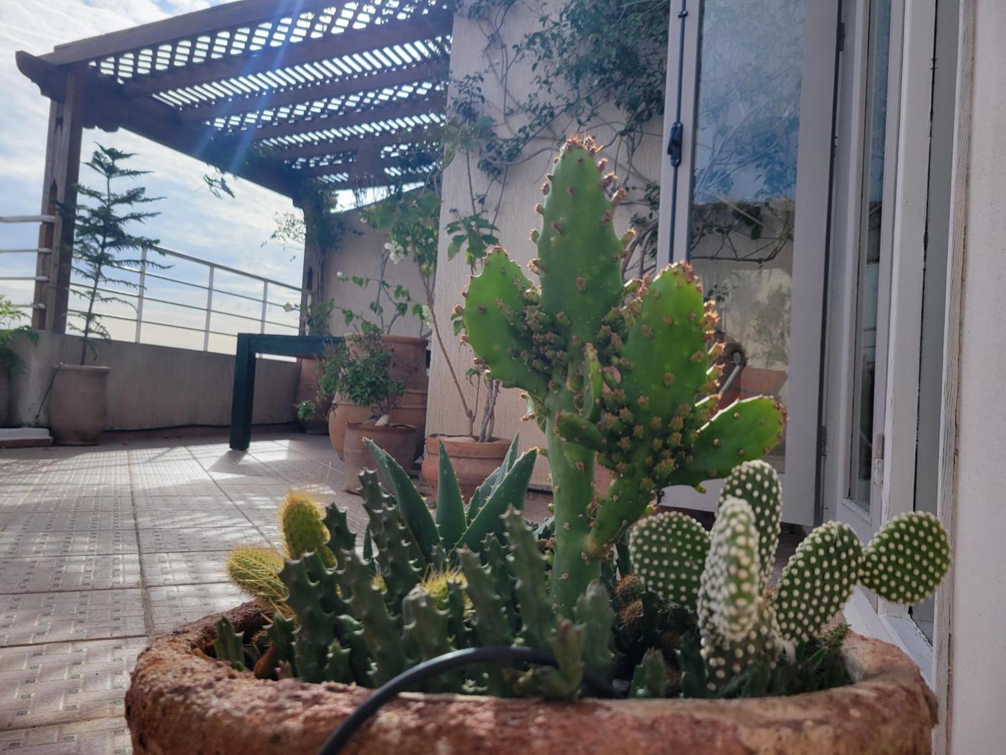 Las Terrazas Mogador Essaouira Ngoại thất bức ảnh