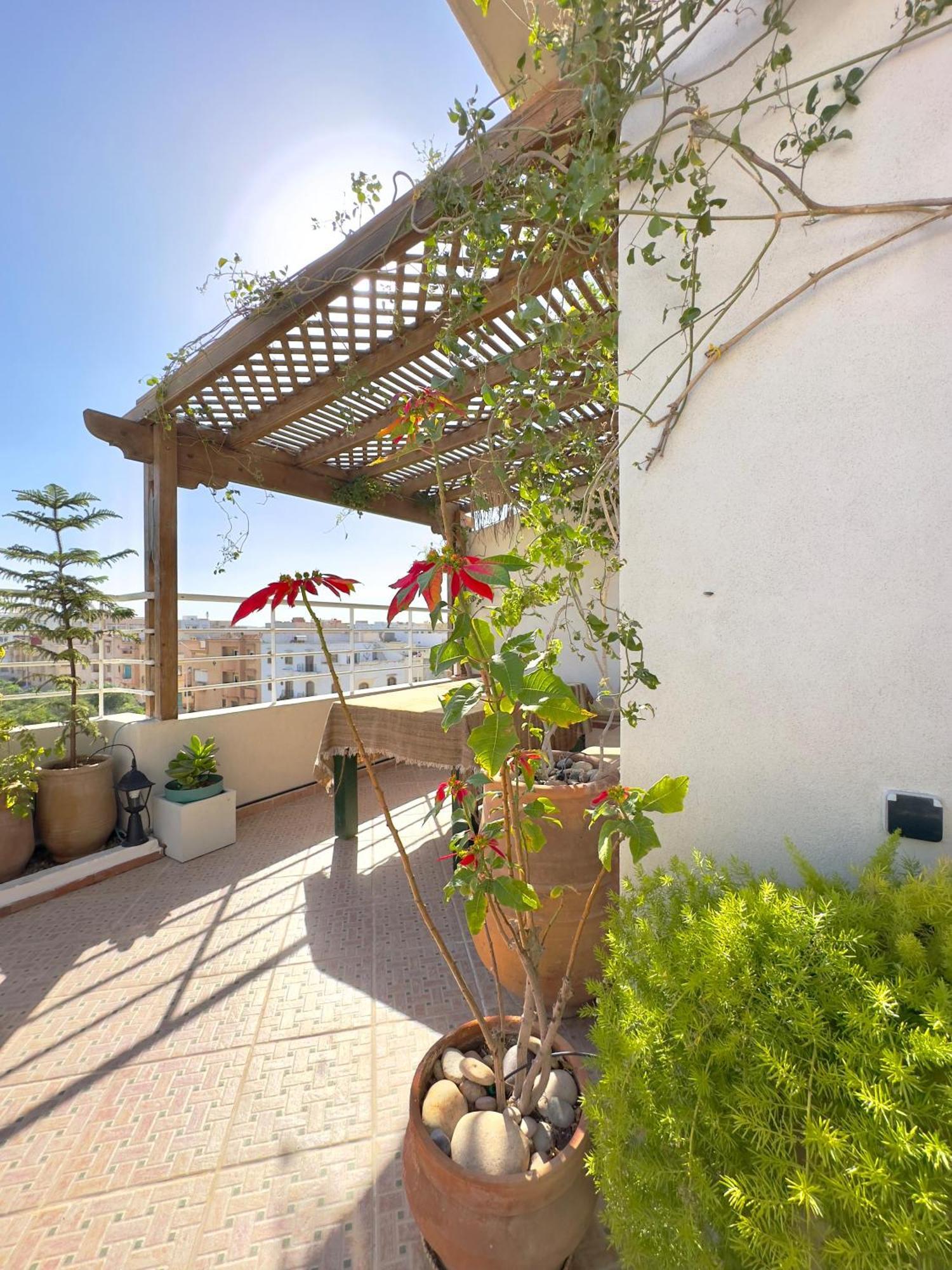 Las Terrazas Mogador Essaouira Ngoại thất bức ảnh
