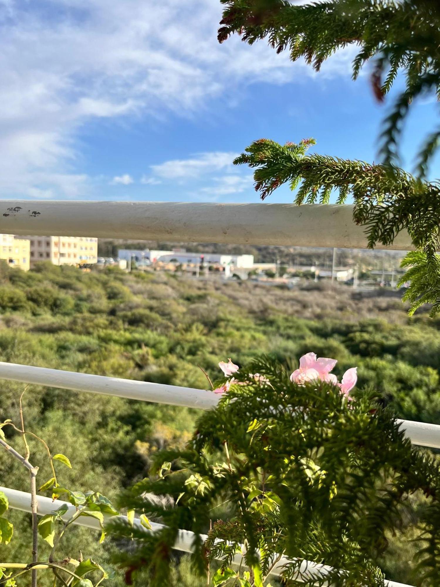 Las Terrazas Mogador Essaouira Ngoại thất bức ảnh